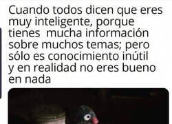 Enlace a Conocimiento inútil