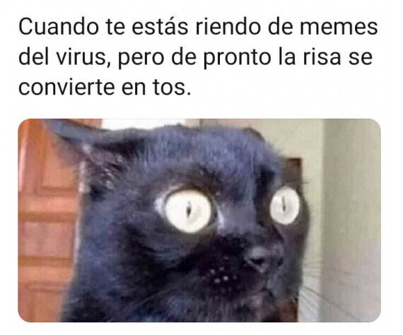 cortonavirus,gato,memes,risa,tos