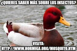 Enlace a ¡No le hagas caso!