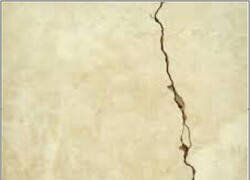 Enlace a Al menos lo intentó