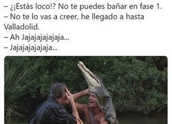 Enlace a Toda la verdad sobre el cocodrilo en Valladolid