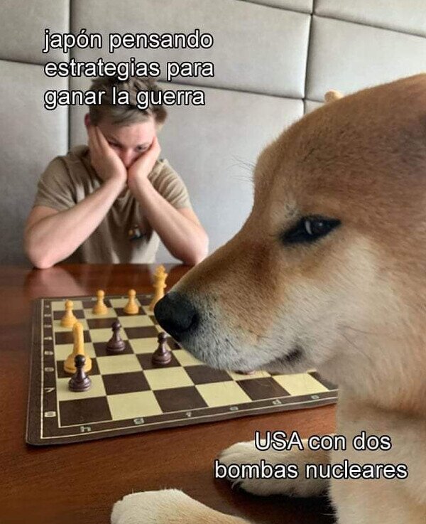 ajedrez,EEUU,guerra,japón,perro