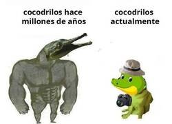 Enlace a De turismo por Castilla