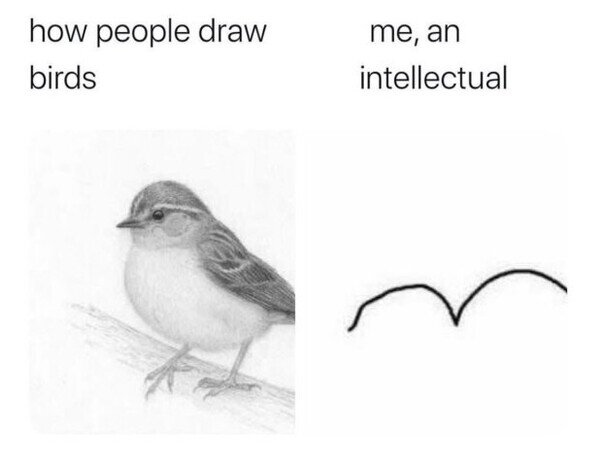 dibujar,fail,pájaro,yo
