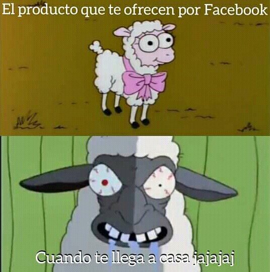 comprar,facebook,oveja,producto