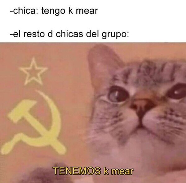 Meme_otros - Comunismo grupal