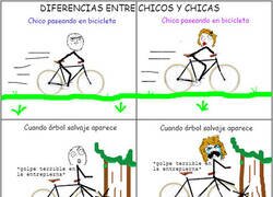 Enlace a Pequeñas diferencias entre chicos y chicas
