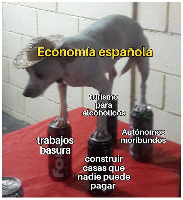 economía,españa,latas,mal,perro