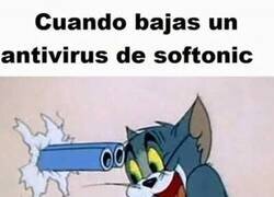 Enlace a Es peor el remedio que la enfermedad