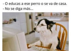 Enlace a Se acabó sacando una oposición y todo...