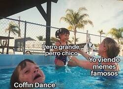 Enlace a La rapidez con la que se extinguen los memes