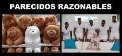 Enlace a Creo que ya he visto demasiado 