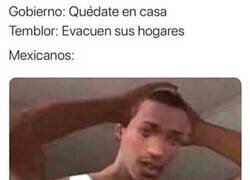 Enlace a Ya no saben ni qué hacer