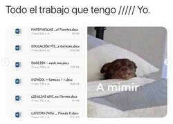 Enlace a Ya lo dejaré para otro momento