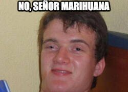 Enlace a No, señor marihuana