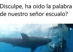 Enlace a Evangelización de terror