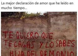 Enlace a Acción poética en mi barrio