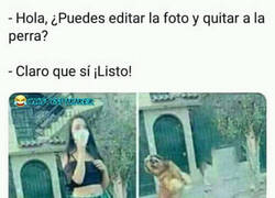 Enlace a ¡Arreglado!