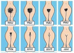 Enlace a La evolución del vello púbico