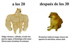 Enlace a La resaca no perdona a ciertas edades