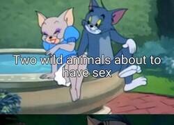 Enlace a Así se graban los documentales