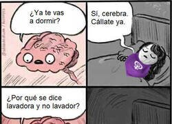 Enlace a Pensando en morado