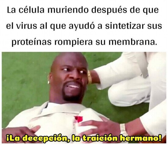 celula,membrana,traición,virus