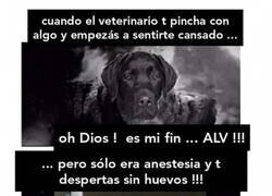 Enlace a ¿Qué deben sentir en ese momento?