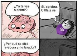 Enlace a Otra noche sin pegar oja