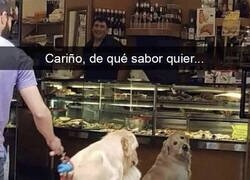 Enlace a Cuando vas a tomar un helado con tu pareja, pero es una perra