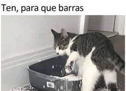 Enlace a Cuando el gato te ve aburrido