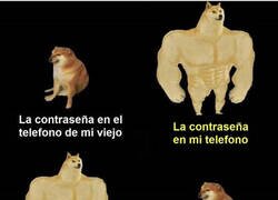 Enlace a La vejez te da unas cosas pero no te da para otras