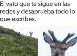 Enlace a Te sigue solo para j*der
