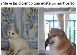 Enlace a Su versión gatuna