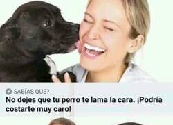 Enlace a Es que ya cobran por todo...