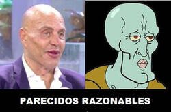Enlace a Parecidos razonables...