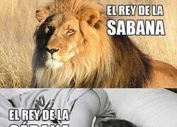 Enlace a Me identifico con el segundo