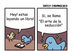 Enlace a Debe seguir leyendo