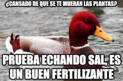 Enlace a También sirve para las patatas