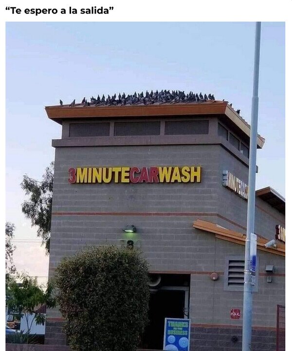 Meme_otros - Parece que lo hagan a propósito