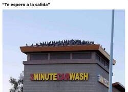 Enlace a Parece que lo hagan a propósito