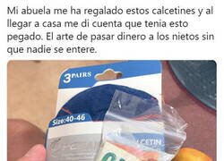 Enlace a Abuelas, los camellos legales