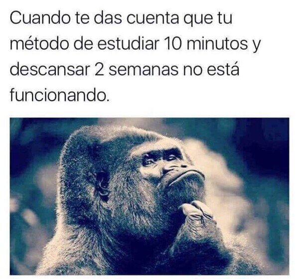 Meme_otros - Algo falla...