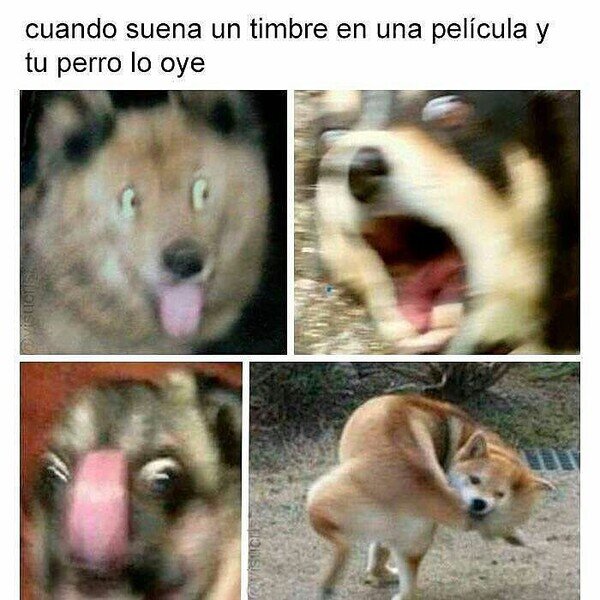 Meme_otros - Ya no hay quien lo calme