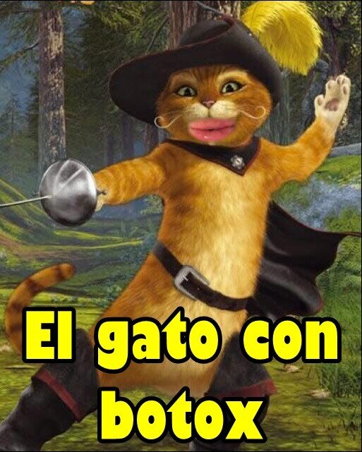 Gato_quimico - La tontería del día