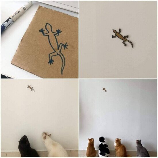 Otros - Cómo tener a unos gatos entretenidos