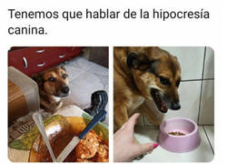 Enlace a Me pide mi comida y él no me djea acercarme a la suya