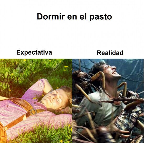Otros - En realidad es una lucha constante contra la fauna