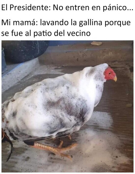 Meme_otros - Extremando las precauciones