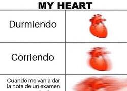 Enlace a Momento de muchos nervios